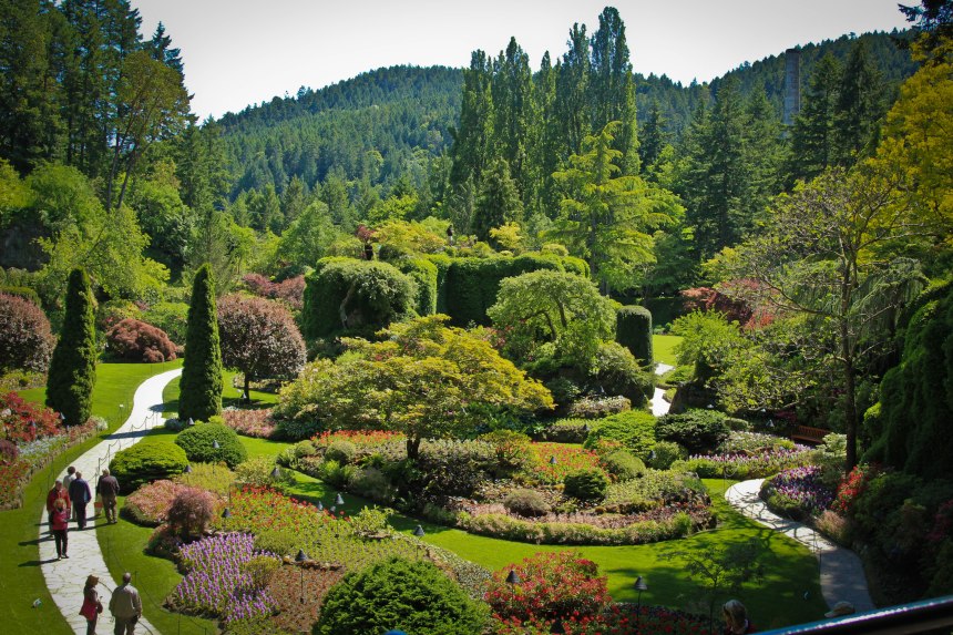 A magical hidden garden.