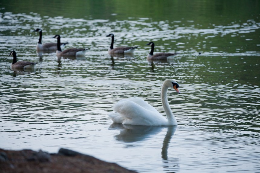 Be different, go your own way.